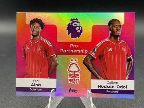 Aina hudson odoi pro - hudson-odoi,
