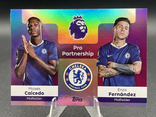 Caicedo fernandez pro - caicedo,