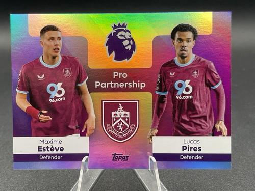 Estève pires pro - estève, partnership