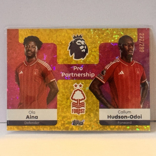 Ola aina hudson - aina, hudson-odoi